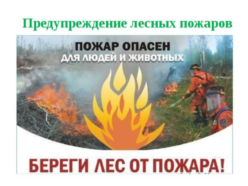 Единый день профилактики возникновения лесных пожаров.